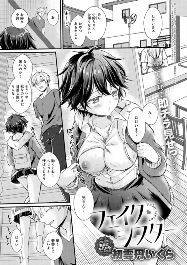 エロ漫画：フェイク・シスター   hitomi サンプル画像