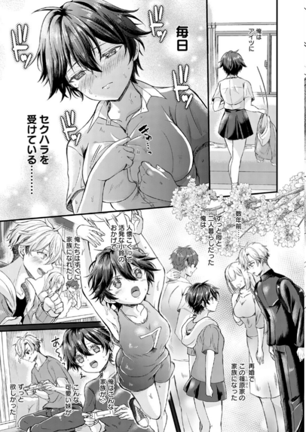 エロ漫画：フェイク・シスター   hitomi サンプル画像