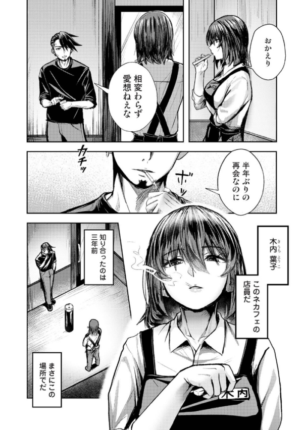 エロ漫画：年に2回会ってヤるだけの2人は、 第1集【合本版】   hitomi サンプル画像