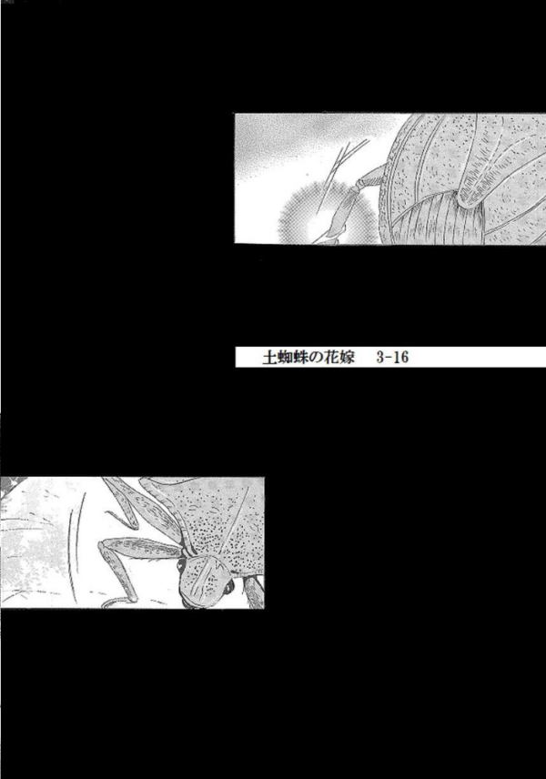 エロ漫画：土蜘蛛の花嫁 第三章 3-16   hitomi サンプル画像