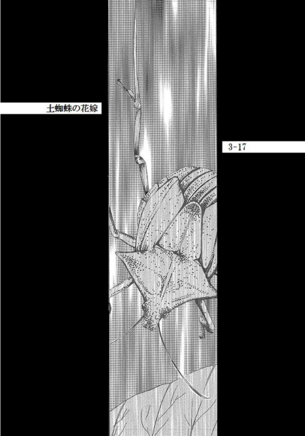 エロ漫画：土蜘蛛の花嫁 第三章 3-17   hitomi サンプル画像