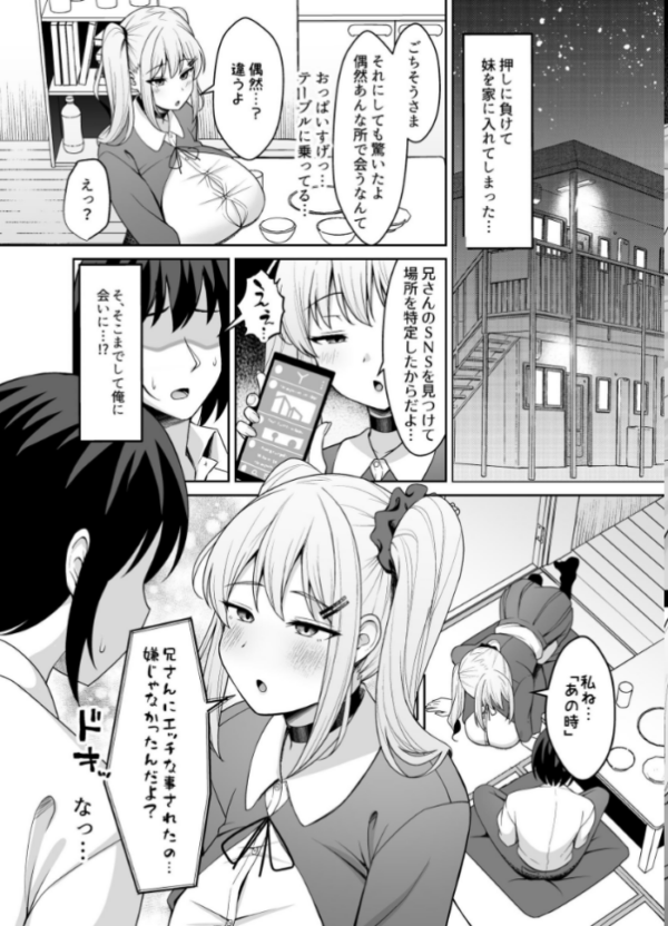 エロ漫画：兄ラブ高湿度長乳妹に迫られて孕ませちゃう話【電子版】   hitomi サンプル画像