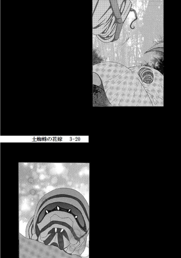 エロ漫画:土蜘蛛の花嫁 第三章 3-20 hitomi サンプル画像