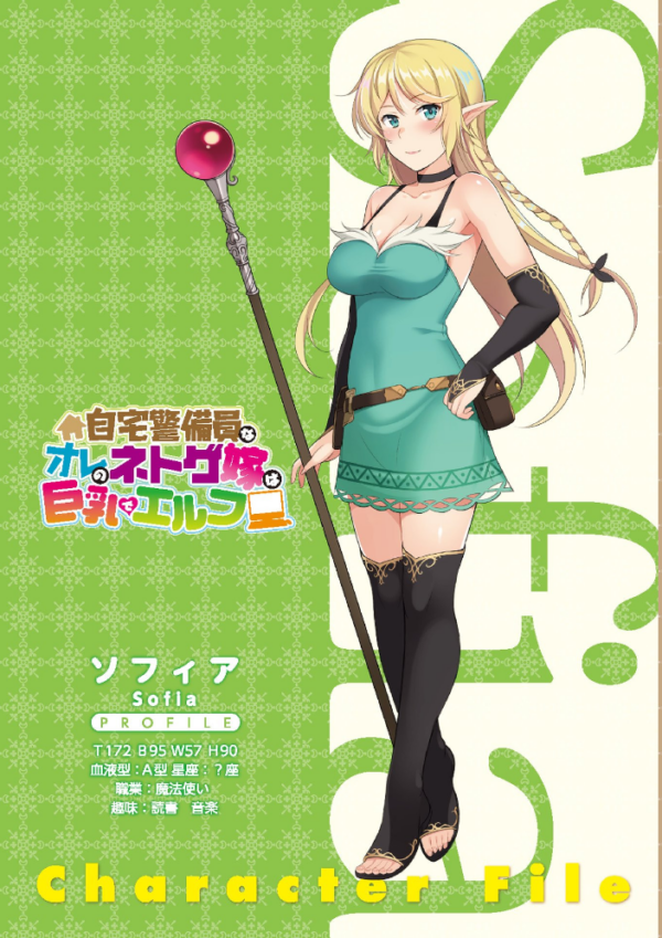 エロ漫画：自宅警備員なオレのネトゲ嫁は巨乳でエルフ   hitomi サンプル画像