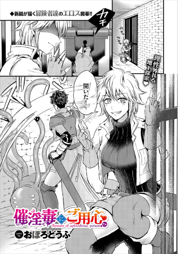 エロ漫画:ダンジョン攻略はSEXで!! VOL.1 【通常版】 hitomi サンプル画像