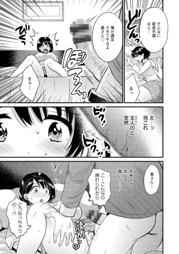 エロ漫画:主人には内緒 hitomi サンプル画像