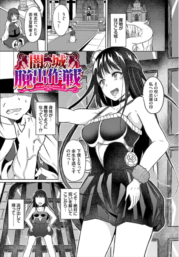 エロ漫画：淫猥ハードクエスト【電子オリジナルコミックス】【FANZA限定版】   hitomi サンプル画像