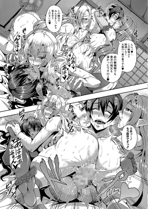 エロ漫画：エルフハーレム物語 【デジタル特装版】   hitomi サンプル画像