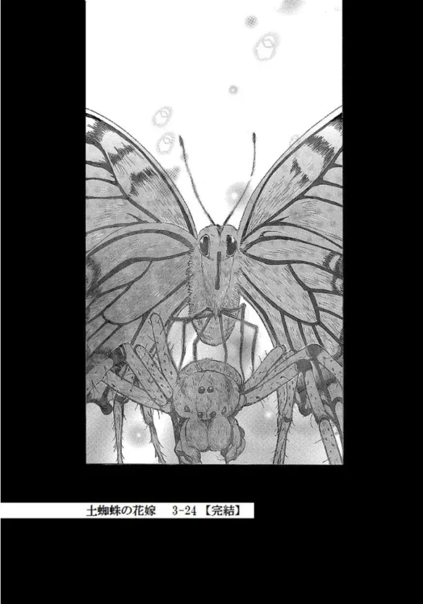 エロ漫画：土蜘蛛の花嫁 第三章 3-24 《完結》   hitomi サンプル画像