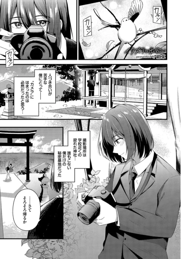 エロ漫画：COMIC BAVEL SPECIAL COLLECTION（コミックバベル スペシャルコレクション）VOL85　hitomi サンプル画像