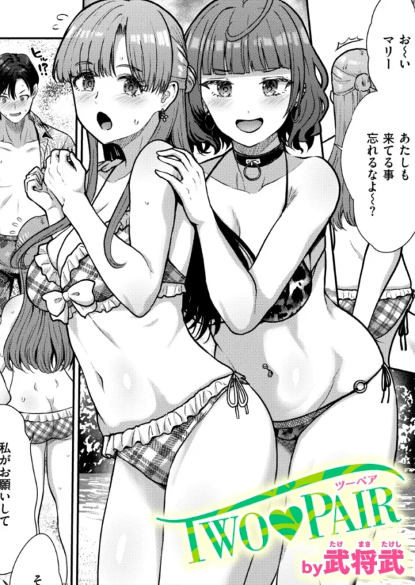 エロ漫画:TWO PAIR hitomi サンプル画像