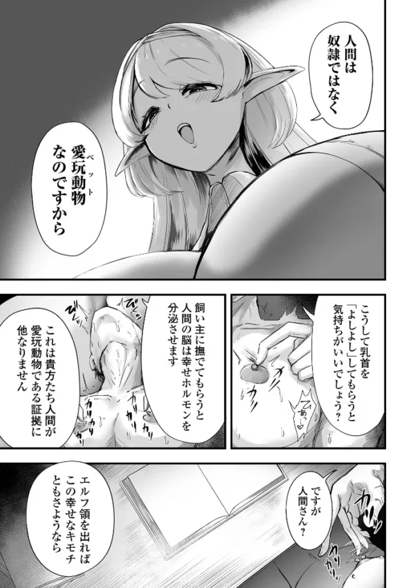 エロ漫画:エルフ様の人間愛護管理法 #2 hitomi サンプル画像