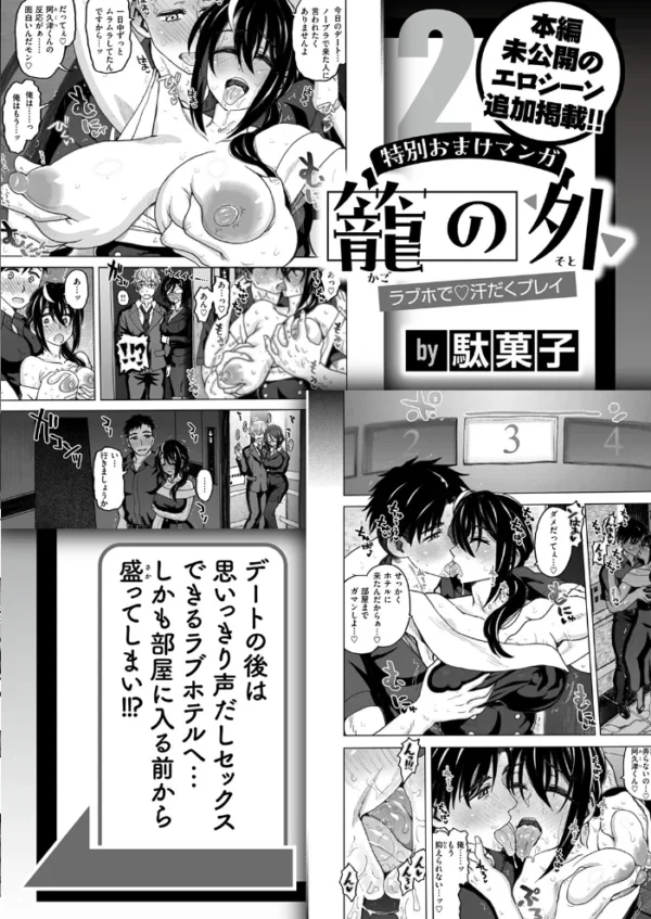 エロ漫画：籠の中   hitomi サンプル画像