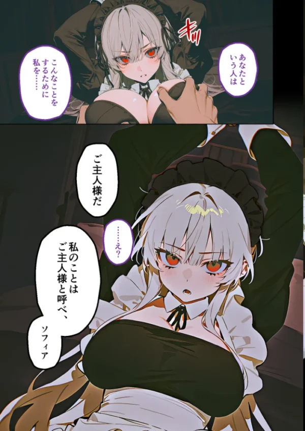 エロ漫画:メイド堕ち令嬢開発録02 〜白き矜持が赤く穢れる初夜〜 hitomi サンプル画像