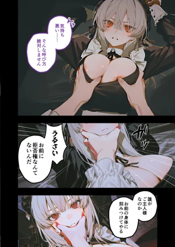 エロ漫画:メイド堕ち令嬢開発録02 〜白き矜持が赤く穢れる初夜〜 hitomi サンプル画像