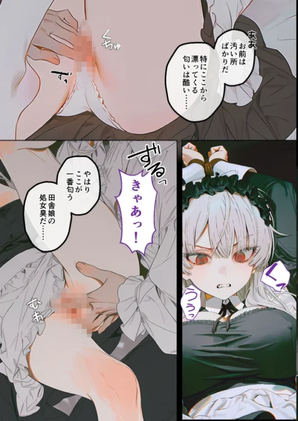 エロ漫画:メイド堕ち令嬢開発録02 〜白き矜持が赤く穢れる初夜〜 hitomi サンプル画像