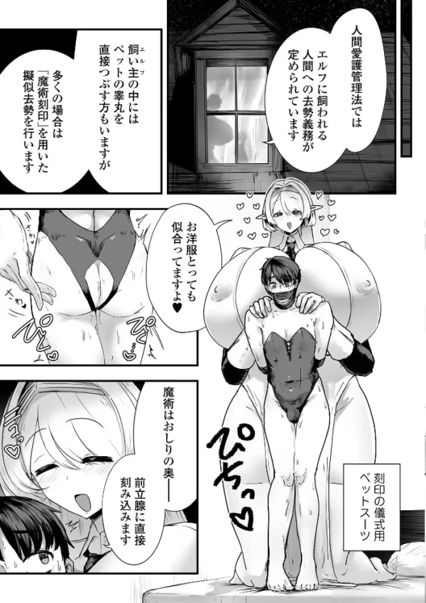 エロ漫画:デカジョ! vol.13 hitomi サンプル画像