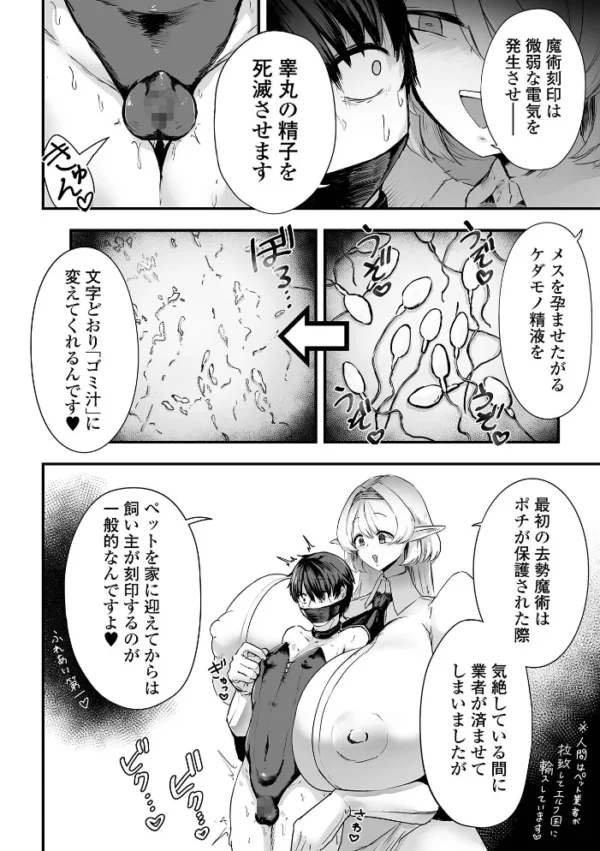 エロ漫画:デカジョ! vol.13 hitomi サンプル画像
