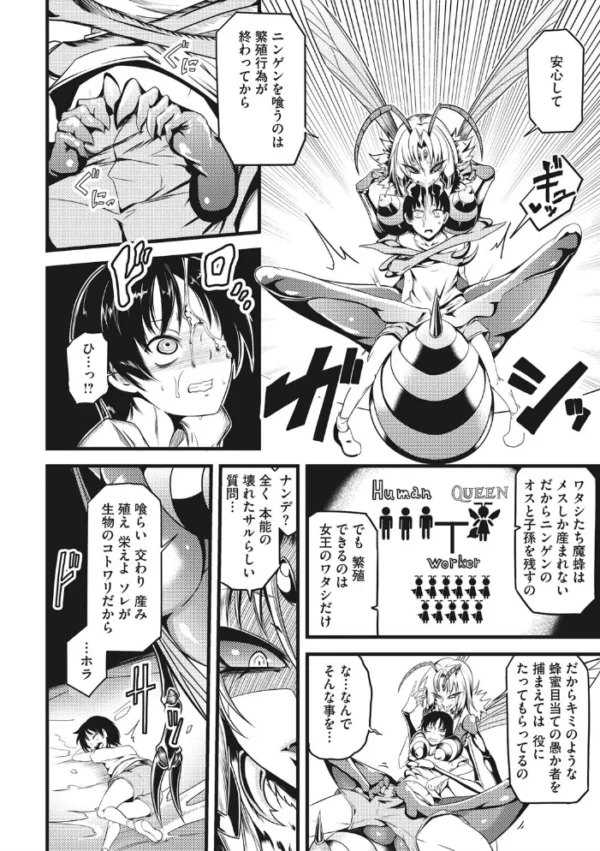 エロ漫画:COMIC外楽 Vol.008 hitomi サンプル画像