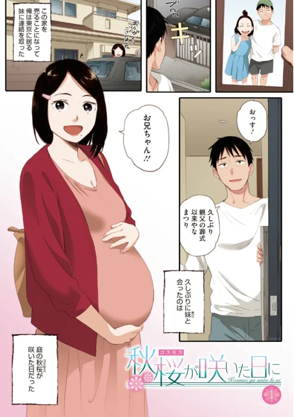 エロ漫画:秋桜が咲いた日に【フルカラー版】 hitomi サンプル画像