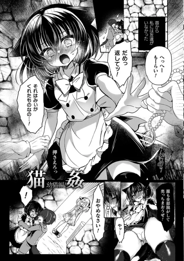 エロ漫画:乙女姦落 hitomi サンプル画像