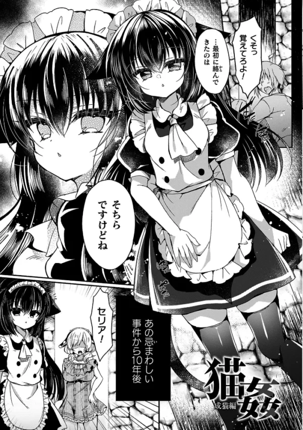 エロ漫画:乙女姦落 hitomi サンプル画像